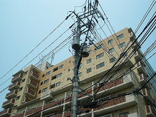 写真あり